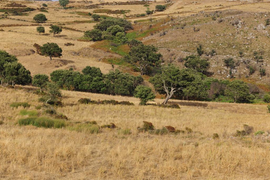 فيلا أربوسفي Agriturismo Rocca Su Moru المظهر الخارجي الصورة
