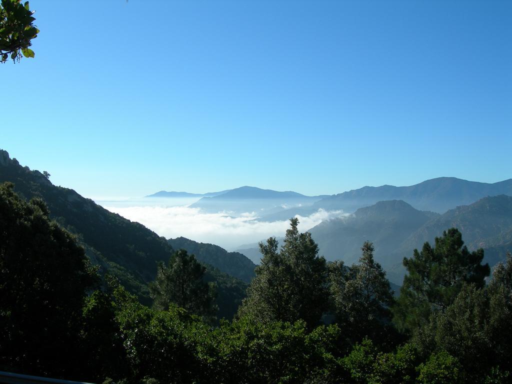 فيلا أربوسفي Agriturismo Rocca Su Moru المظهر الخارجي الصورة