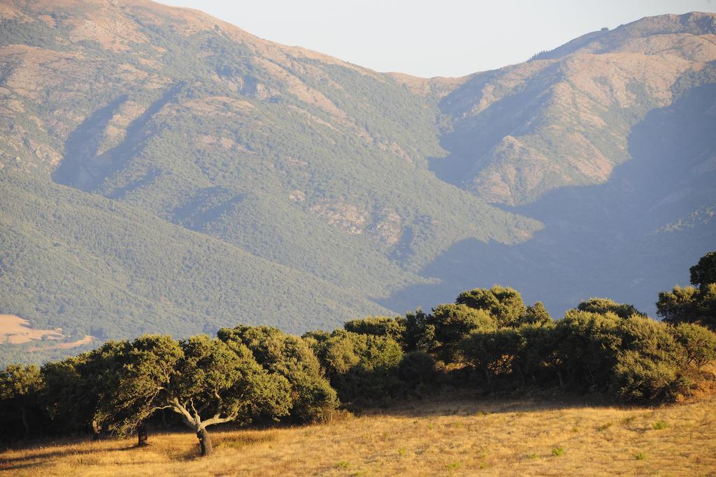 فيلا أربوسفي Agriturismo Rocca Su Moru المظهر الخارجي الصورة