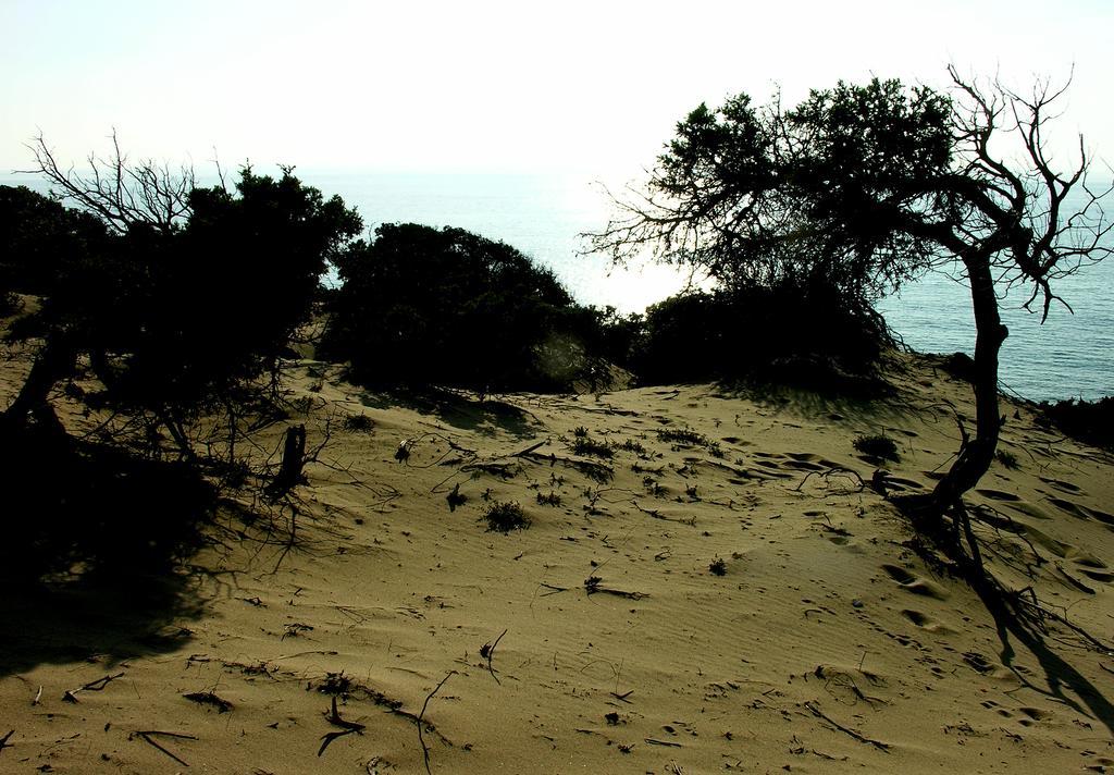 فيلا أربوسفي Agriturismo Rocca Su Moru المظهر الخارجي الصورة