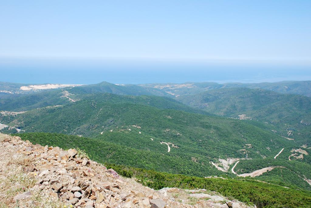 فيلا أربوسفي Agriturismo Rocca Su Moru المظهر الخارجي الصورة